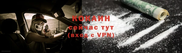 тгк Богданович
