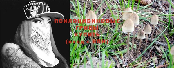 героин Бородино